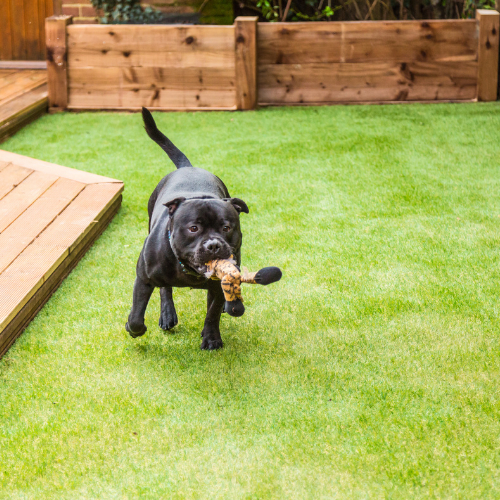 Artificial Grass Services