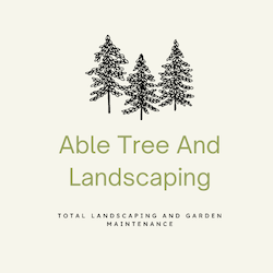 Able tree And Landscapes