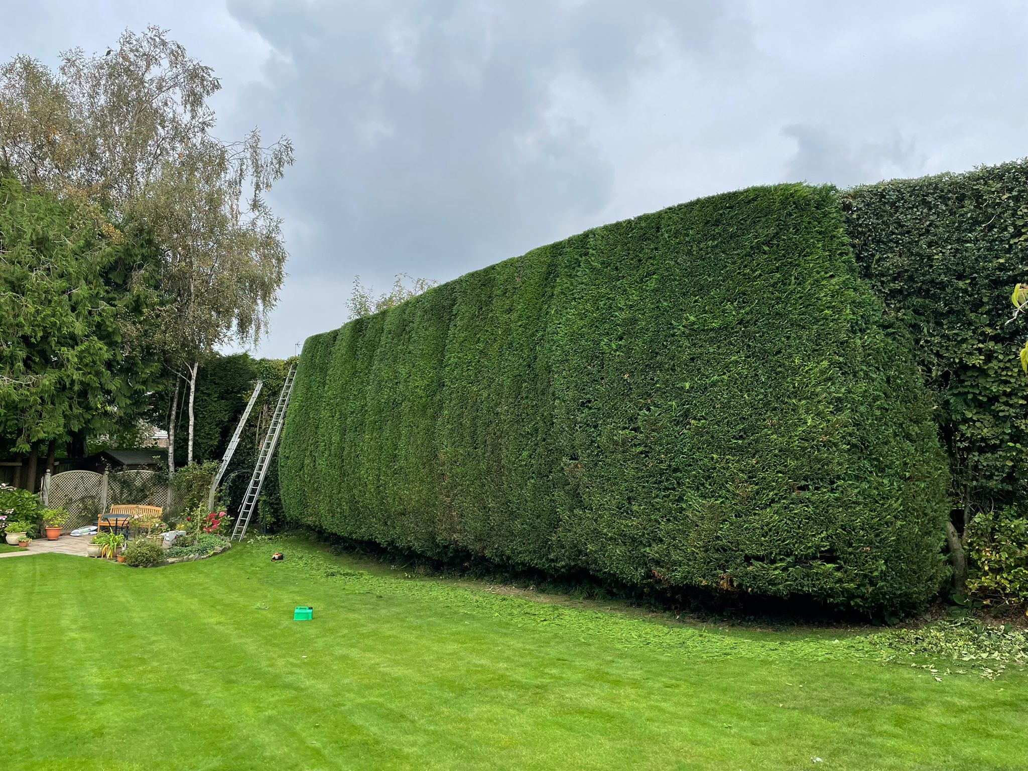 Hedge Cutting - Able tree And Landscapes